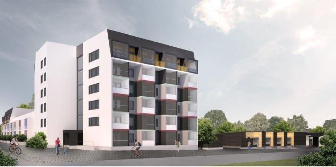 crokus-15062017-091558